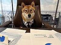 Маск объявил, что