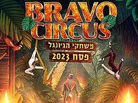 Цирк и эдьютейнмент: добро пожаловать в джунгли