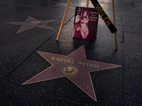 Умерла актриса Ракель Уэлч, секс-символ 70-х