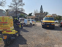 В Нес-Ционе убита молодая женщина, задержан ее брат