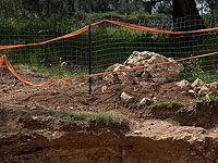 Жители Ришон ле-Циона нашли во дворе своего дома