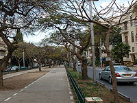 Перформанс на бульваре Ротшильда в Тель-Авиве: 