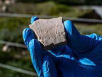 В Тель-Лахише найден осколок с именем персидского царя Дария. Сообщение о подлинности находки опровергнуто