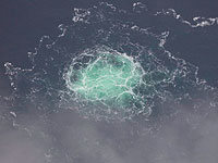 Россия, Украина и Германия выступили против версии NYT о виновных в подрыве 