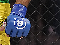 Bellator.  Нурмагомедов победил Хендерсона. Молдавский потерял сознание