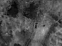 ВВС США нанесли удары по проиранским силам на востоке Сирии после того, как иранский БПЛА-камикадзе атаковал базу коалиции