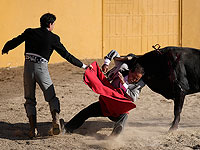 Коррида в Колумбии: традиция и неприятие. Фоторепортаж