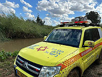 Стрельба в Джальджулии; погиб мужчина