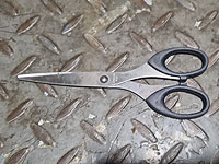 Жительница Рахата подозревается в попытке теракта в Старом городе Иерусалима