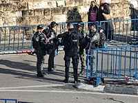 На Храмовой горе задержаны несколько мусульман с флагами террористических организаций