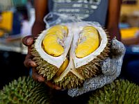 СМИ: турецкий самолет вернулся в аэропорт Стамбула из-за невыносимого запаха дуриана