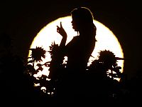 Подано обвинение против Джабраила Айвазова, подозреваемого в сексуальных преступлениях в отношении девушек – новых репатрианток