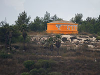 После утверждения