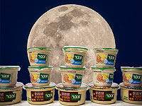 Израильские ученые готовятся к эксперименту по выращиванию хумуса на Луне