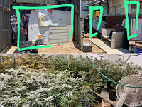 Конюшню в промзоне Холона превратили в теплицу для выращивания конопли, задержаны подозреваемые