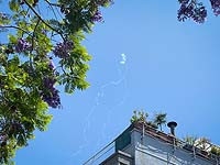 Председатель