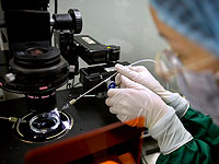 Гаагский суд запретил отцу 550 детей быть донором спермы