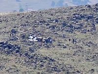 На севере Израиля упал легкий самолет: один человек погиб, второй в крайне тяжелом состоянии