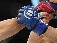 Bellator. Фабиан Эдвардс победил легендарного Гегарда Мусаси. 