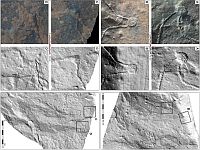На Аравийском полуострове найдены 8000-летние чертежи 