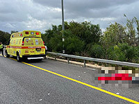 Возле города Маалот-Таршиха микроавтобус насмерть сбил женщину