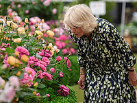 Цветочное шоу в Челси 2023: королевские особы и другие посетители. Фоторепортаж