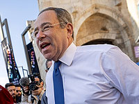 В Параде гордости в Иерусалиме принимает участие посол США