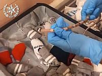 Жительница Рамат-Гана задержана за контрабанду десятков рептилий, включая анаконду