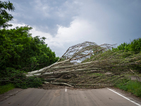 Мэр Макеевки заявил о гибели двух женщин и ранении ребенка в результате обстрела