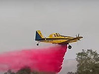 Из-за сильной жары пожары вспыхнули в разных районах страны