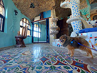 В Герцлии хотят снести знаменитый