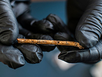В Израиле обнаружены 12000-летние манки, изготовленные для подражания голосам хищных птиц