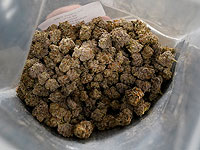 Транзитный пассажир из Израиля арестован в ОАЭ с пакетиком марихуаны