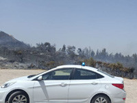 Пожар в лесу Биньямины, задержан 