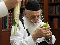 Председатель Совета мудрецов Торы поддержал депутата Пиндруса, заявившего, что ЛГБТ