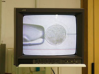 Впервые суд разрешил израильтянину использовать яйцеклетки умершей подруги для рождения ребенка