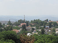 Организация 