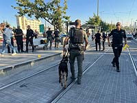 Полиция: попытку теракта в Иерусалиме предприняла жительница Писгат-Зеэва