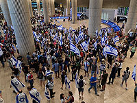 Юрсоветник правительства разрешила митинговать в аэропорту