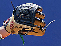 Юниорский чемпионат Европы по софтболу. Сборная Израиля завоевала серебряные медали