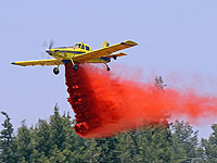 В иерусалимским горах возник сильный лесной пожар