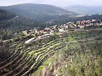 Кнессет утвердил расширение общинных поселков с 500 до 1000 домохозяйств