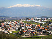 Стрельба в Рихании, задержан подозреваемый