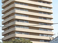 В Тель-Авиве во время следования кортежа Нетаниягу охранник грубо толкнул манифестанта с флагом