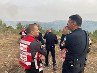 В иерусалимских горах возник сильный лесной пожар