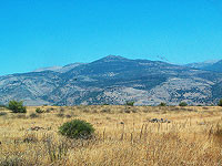 Walla News: 