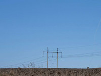 Авиакатастрофа в Житомирской области: в небе столкнулись два самолета ВСУ, трое пилотов погибли