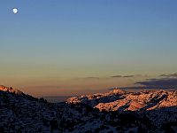 На Кипре в результате падения с велосипеда погибла Тови Аренс-Кармон