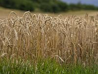 Израиль подписал с Азербайджаном и Узбекистаном сделки