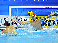 Результаты жеребьевки чемпионата Европы по водному поло, который состоится в Израиле